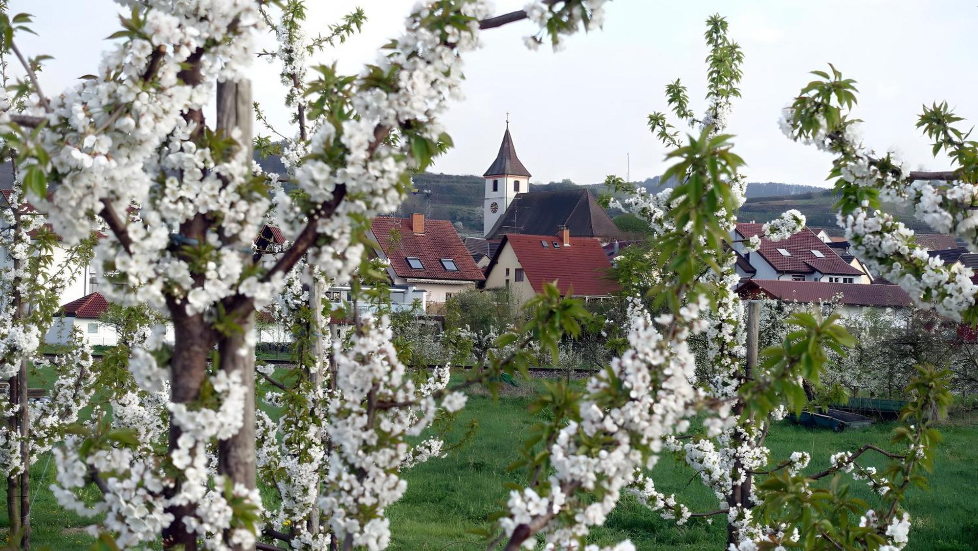 Ferienwohnung Fliegerhorst Endingen am Kaiserstuhl Exterior foto